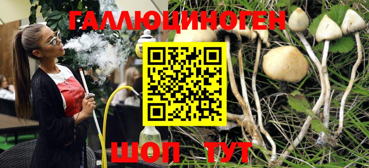 Псилоцибиновые грибы прущие грибы Кинель