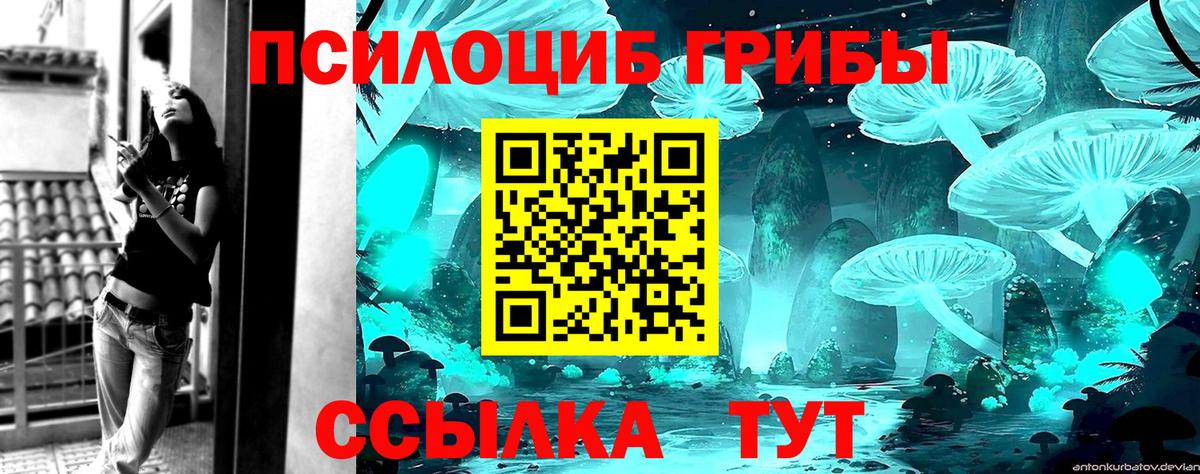 Кинель  Псилоцибиновые грибы GOLDEN TEACHER  закладки  Вход с VPN 